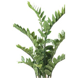 Smaragdkunstwerk Zamioculcas Green 110 cm 11.662c