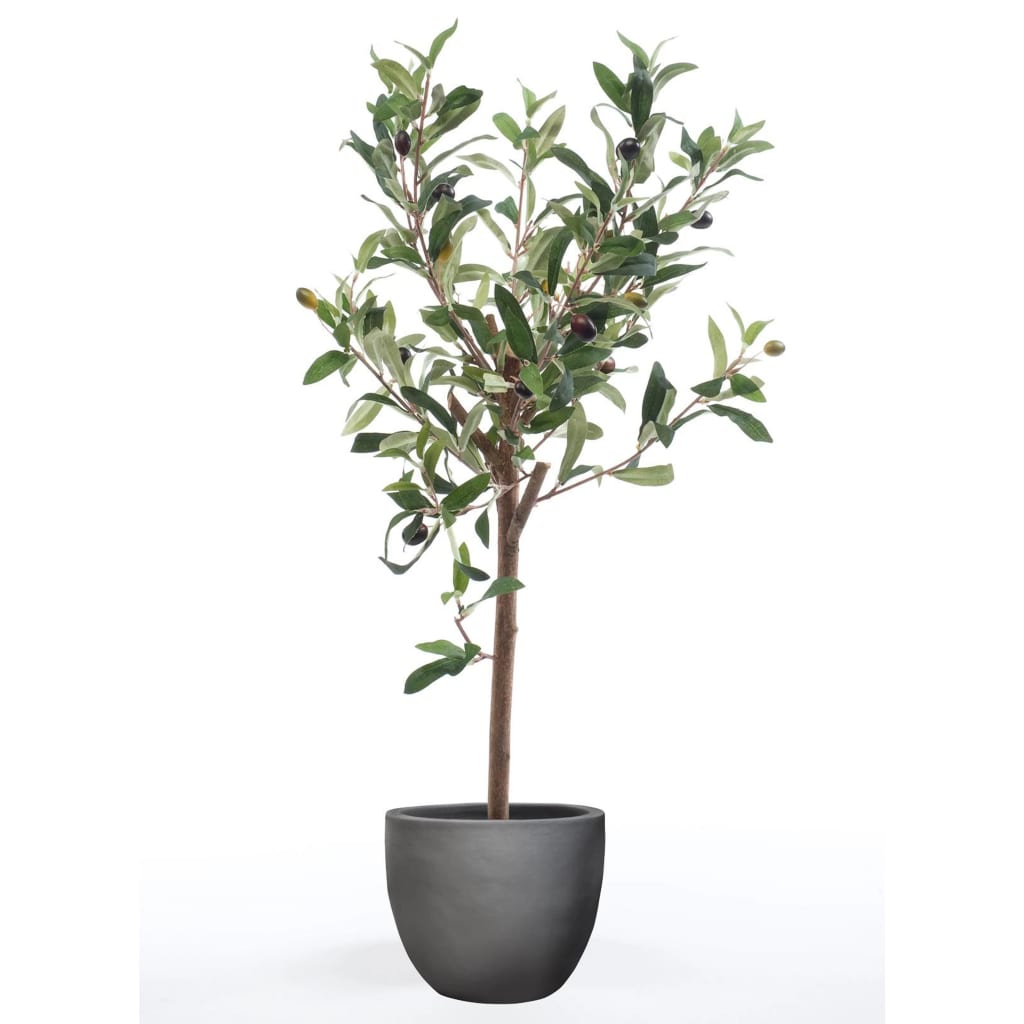 Smaragd Emerald Art rastlina Olive Tree Mini 65 cm