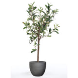 Smaragdkunstpflanze Olivenbaum Mini 65 cm