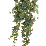 Smaragd Emerald Art rastlina Ivy, ki visi zeleno 100 cm 11.958