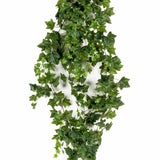 Smaragd Emerald Art rastlina Ivy, ki visi zeleno 180 cm 418712