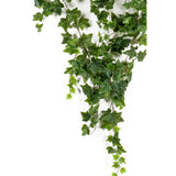 Smaragd Emerald Art rastlina Ivy, ki visi zeleno 180 cm 418712