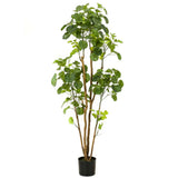 Emerald Kunstboom in Topf Aralia 160 cm