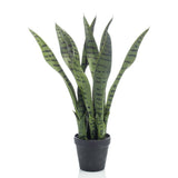 Smaragdna smaragdna umetniška rastlina Sansevieria v loncu 55 cm