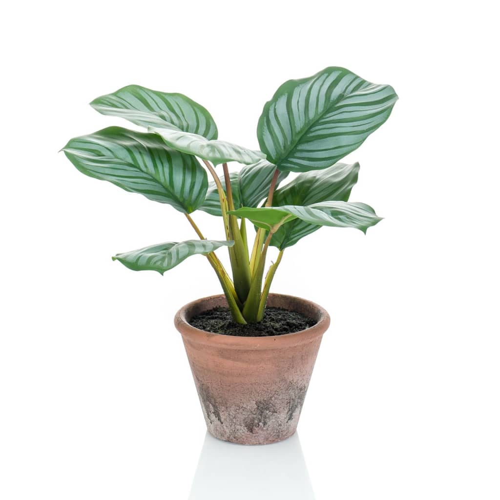 Smaragdkunstwerk in Topf Terra Calathea Orbifolia 32 cm