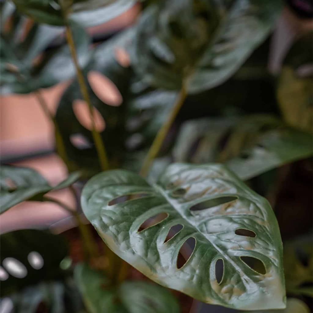 Smaragdkunstpflanze in Topf Monster Monstera Struik 43 cm