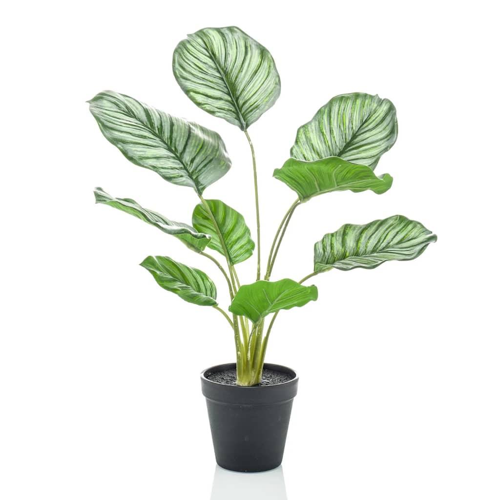 Smaragdna smaragdna umetniška rastlina v Pot Calathea Orbifolia 45 cm