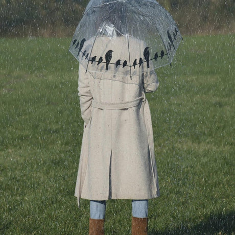 Esschert Design Regenschirm Vögel auf Draht 83 cm transparent schwarz
