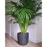 Capi Pflanzer glatt 43 x 41 cm grau