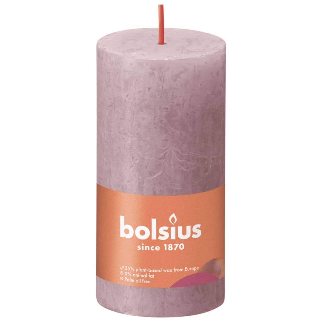 Bolsius Bolsius Stollen Shine 8 St rustikalni 100x50 mm pepel vrtnica