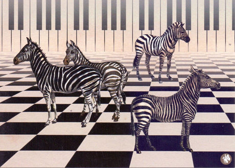 Prentbriefkaart cd03: piano zebra 6 st