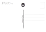 Prentbriefkaart cd11: christmas sno 6 st