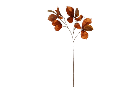 Countryfield kunstbloem parthenocissus s bruin 80cm
