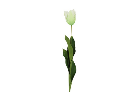 Countryfield kunstbloem tulipa (parrot french) wit 65cm