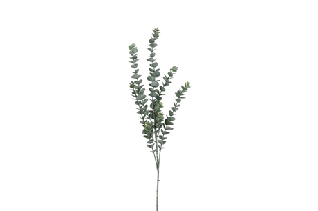 Countryfield kunstbloem eucalipthus l groen 105cm
