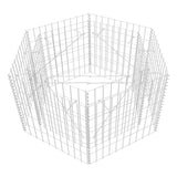 Vidaxl Gabion Planter Insent Hexagonal 100x90x50 cm