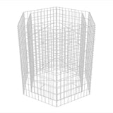 Vidaxl Gabion Fiorter Insent esagonale 100x90x100 cm