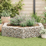 Vidaxl Gabion -Pflanzer vermehrte hexagonale 200x173x40 cm