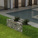 Vidaxl gabion mand 120x30x50 cm gegalvaniseerd staal