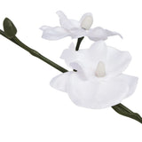 Vidaxl künstliche Pflanzenorchidee mit Topf 30 cm Weiß