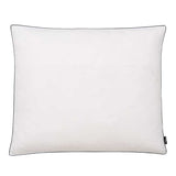 Vidaxl -Kissen 2 St schwer 70 x 60 cm Down Filling White