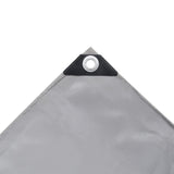 Vidaxl -Gerät 650 g m² 4x8 m Grau