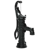 Vidaxl -Handwaterpumpe Gusseisen