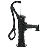 Vidaxl -Handwaterpumpe Gusseisen
