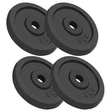 VIDAXL -Halfterscheiben 4 PCs 4x5 kg Gusseisen