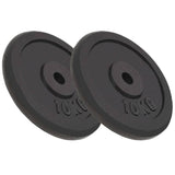 Disky Vidaxl Halter Discs 2 PCS 2x10 kg litina