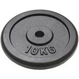 VIDAXL -Halfterscheiben 2 PCs 2x10 kg Gusseisen