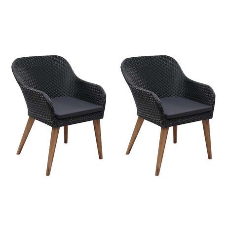Vidaxl tuinstoelen 2 st met kussens poly rattan zwart