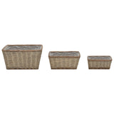 Vidaxl Planters raised 3 st wicker with PE lining