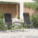 Vidaxl Campingstühle faltbare Aluminiumschwarz 2 Sts