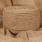 Vidaxl -Seil 12 mm 250 m 100% Jute