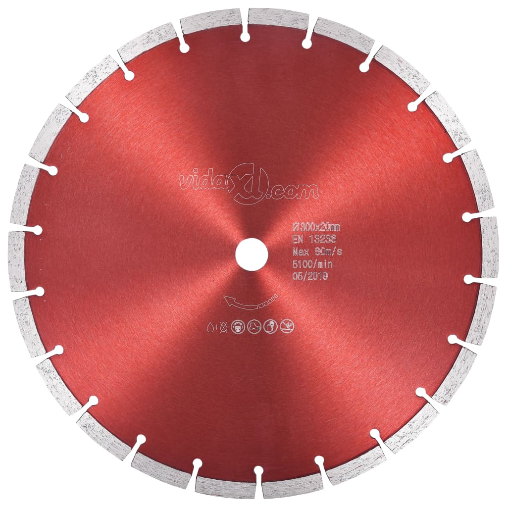 Vidaxl Diamond Saw Leaf 300 mm Acciaio