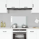 VIDAXL FRIADSEMKLEIDE KITCHE 80x50 cm gehärtetes Glas transparent