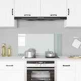 VIDAXL FRIADSBREIDE KITCHE 100x50 cm gehärtetes Glas transparent