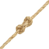 Vidaxl -Seil 10 mm 50 m 100% Schwester