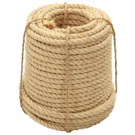 Vidaxl -Seil 20 mm 50 m 100% Schwestern