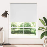 Vidaxl Roller Blind verdämmen 160 x 230 cm Weiß