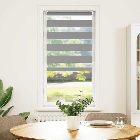 Vidaxx Duo-Rollo 40x100cm grau