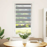 Vidaxl Duo Roller Blind 60x120 cm Grau