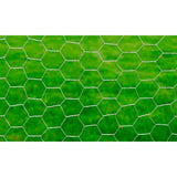 Vidaxl -Hühnerdraht 25x1 m verzinkter Stahl silberfarben