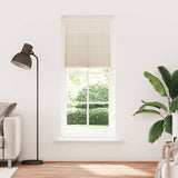 Vidaxx Plissee-Rollo 70x200cm Creme