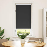 Vidaxx Verdunkelungsrollo 40 x 100 cm Schwarz