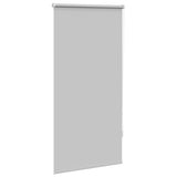 Vidaxx Verdunkelungsrollo 60 x 120 cm grau