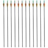 Vidaxl Recurveboog Standard mit Pfeilen 30 0,6 cm Faser 12 Teile