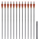 Vidaxl -Pfeile für Recurvebog Standard 30 0,76 cm Kohlenstoff 12 Teile