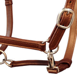 Vidaxl Halster Pony réglable Real Leather Brown